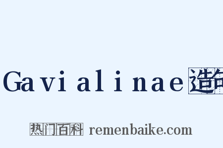 Gavialinae造句是什么意思的图片